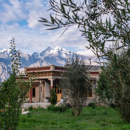 Lchang Nang Retreat-The House Of Trees-Nubra Valley Sumur Exterior foto