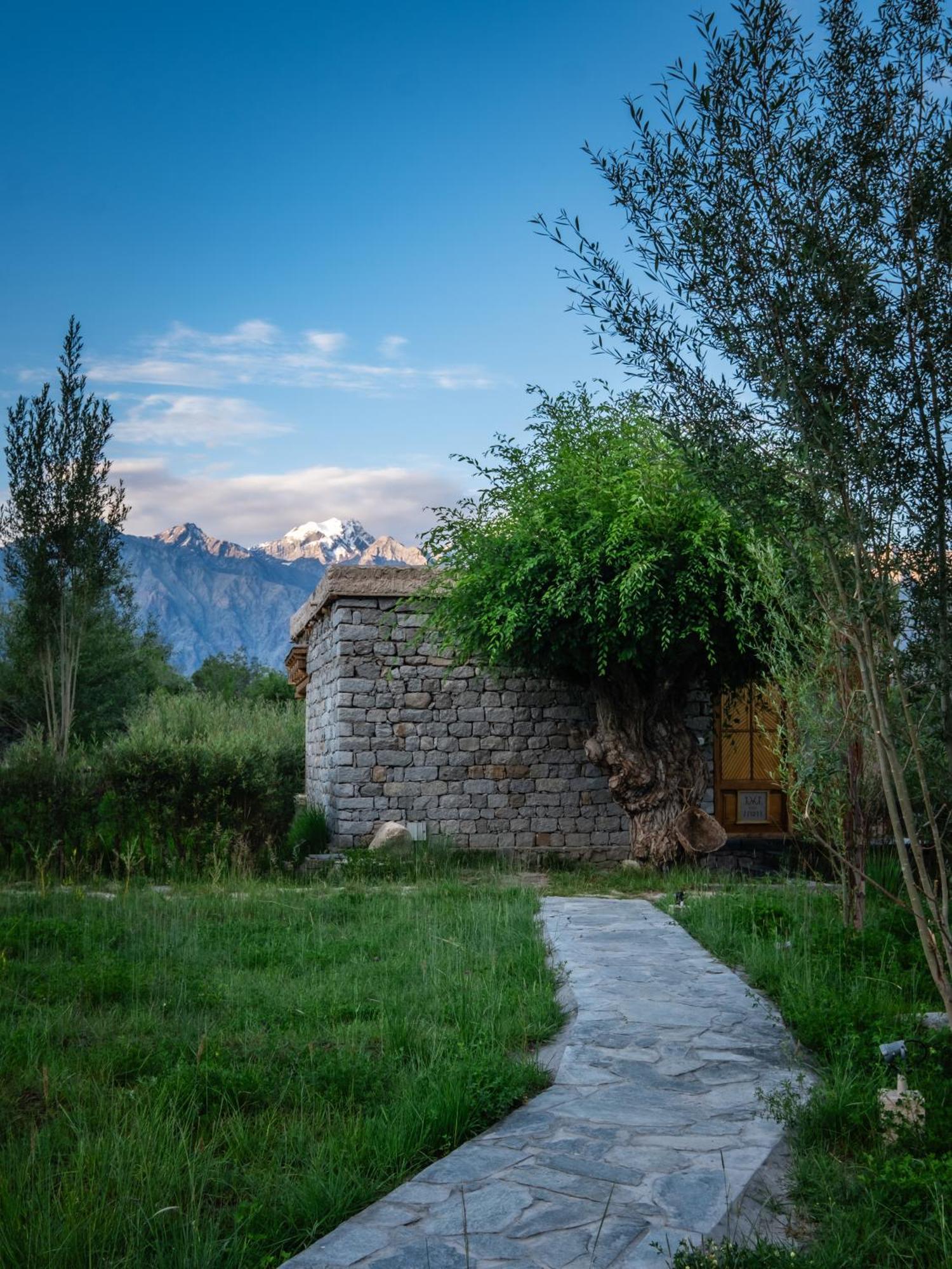 Lchang Nang Retreat-The House Of Trees-Nubra Valley Sumur Exterior foto